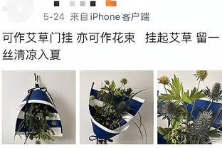 WhoScored评德甲第十八周最佳阵容：桑乔入选，无拜仁球员